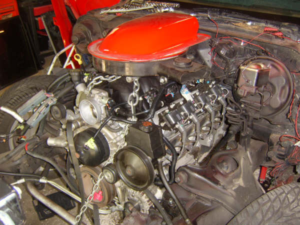 Whole lotta shakin' going on!!