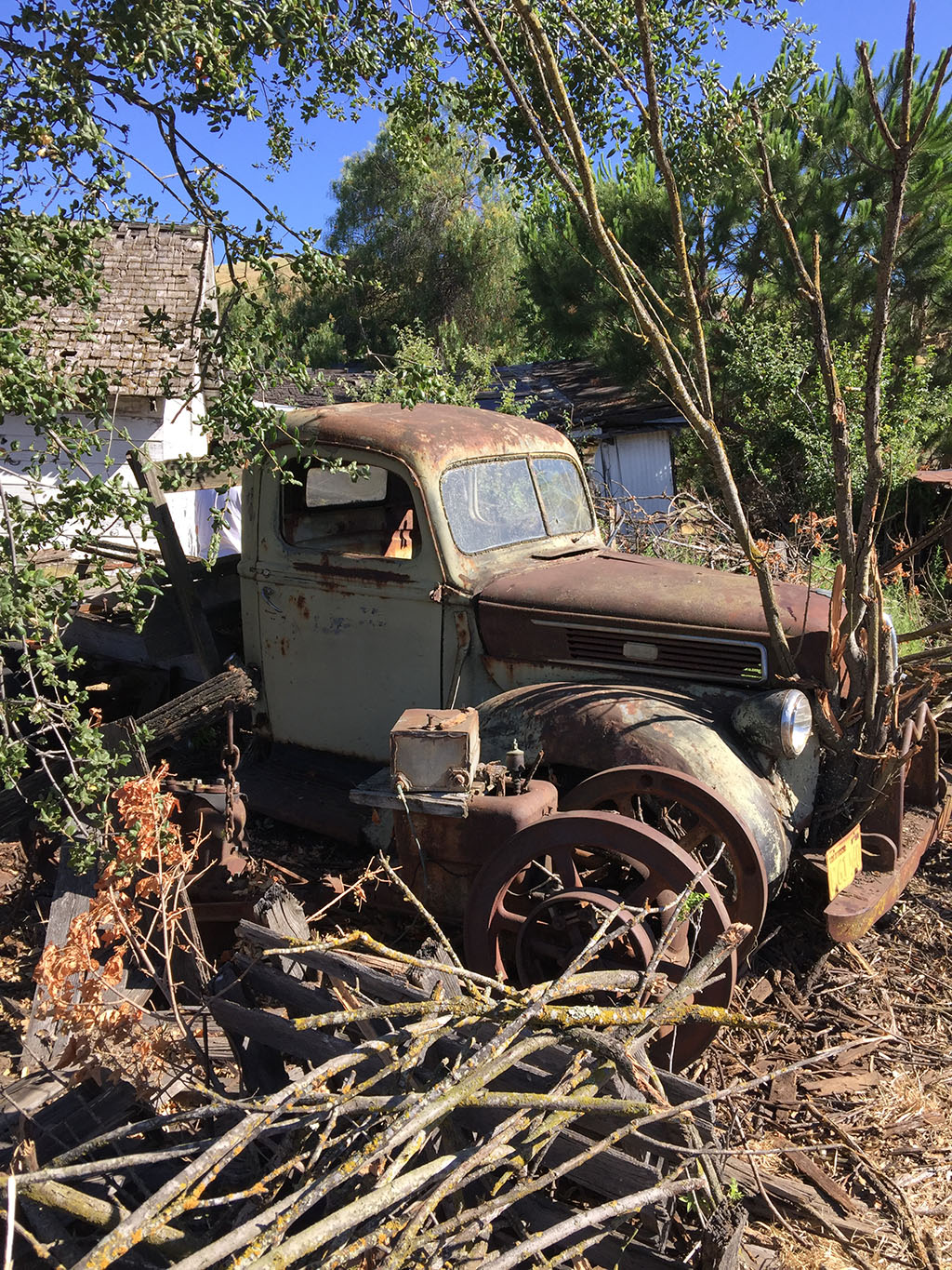 1941 ford truck field find